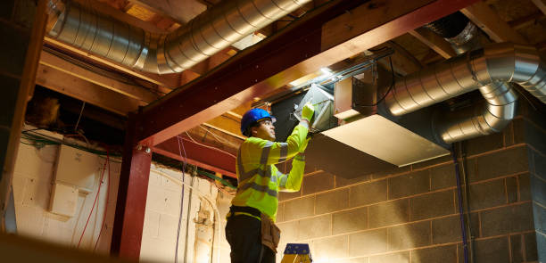 Best Air Duct Mold Removal  in Boaz, AL