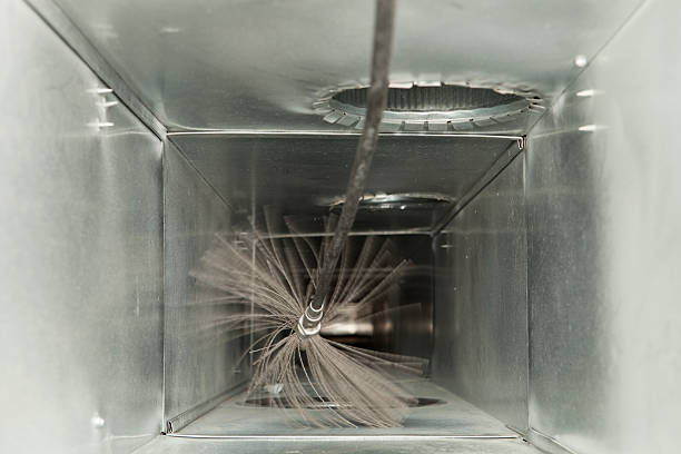 Air Duct Mold Removal in Boaz, AL